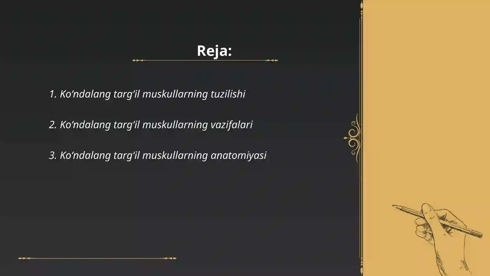 Koʻndalang targʻil muskullar 2