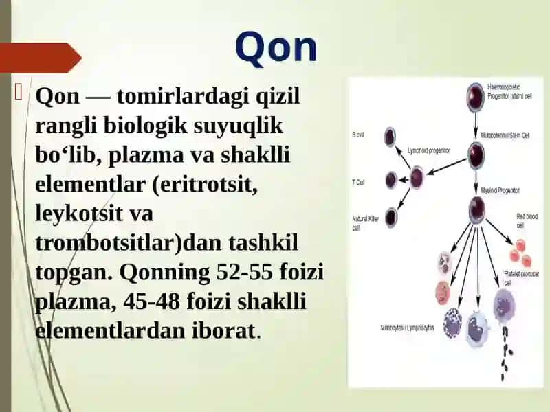 Bolalarda qon va qon yaratuvchi tizimi 2