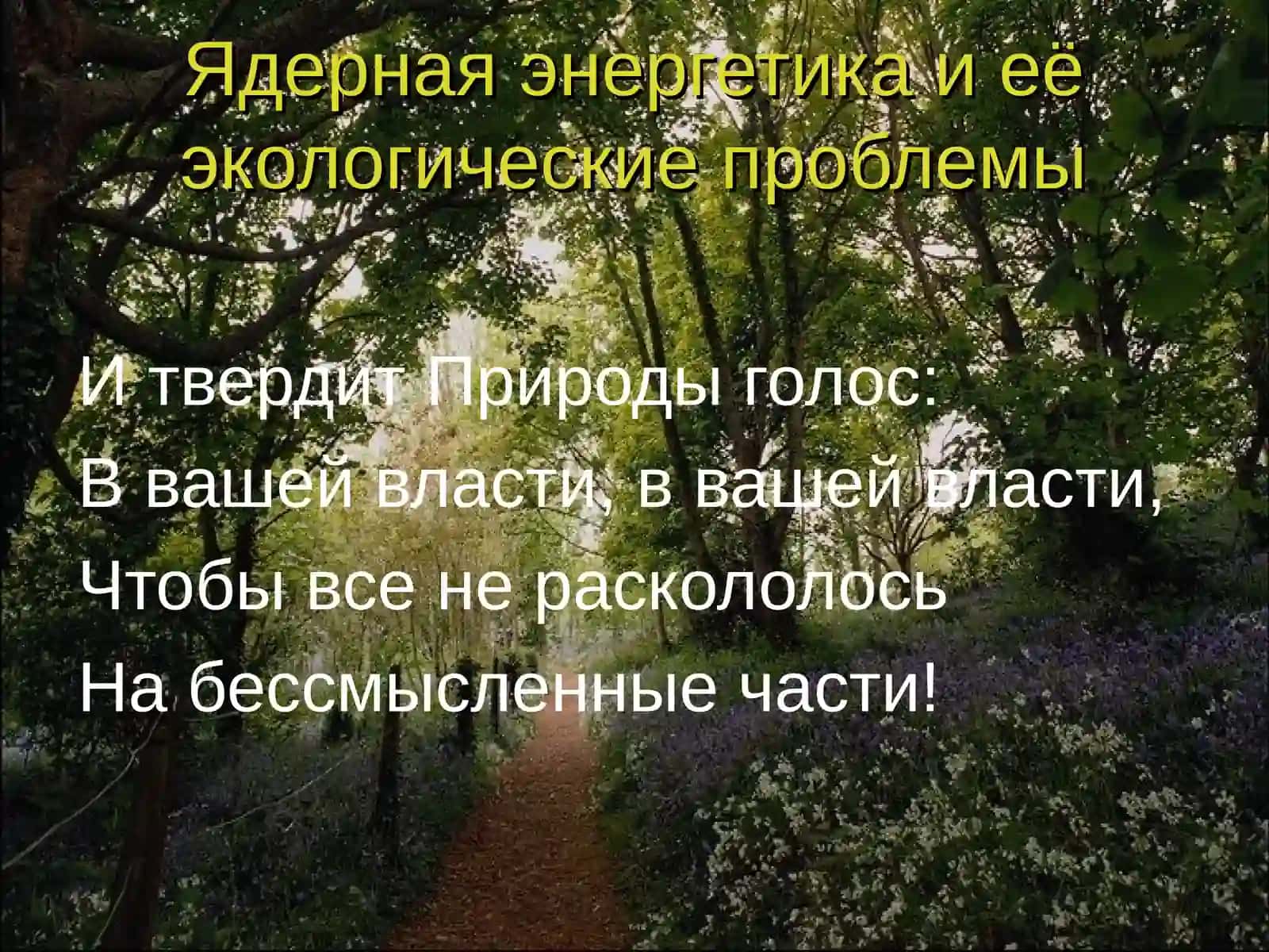 Атомная энергетика и ее экологические проблемы 2