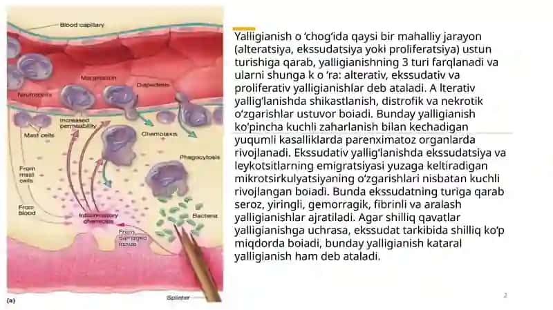 Yallig’lanishning tizimli tasirlari 2