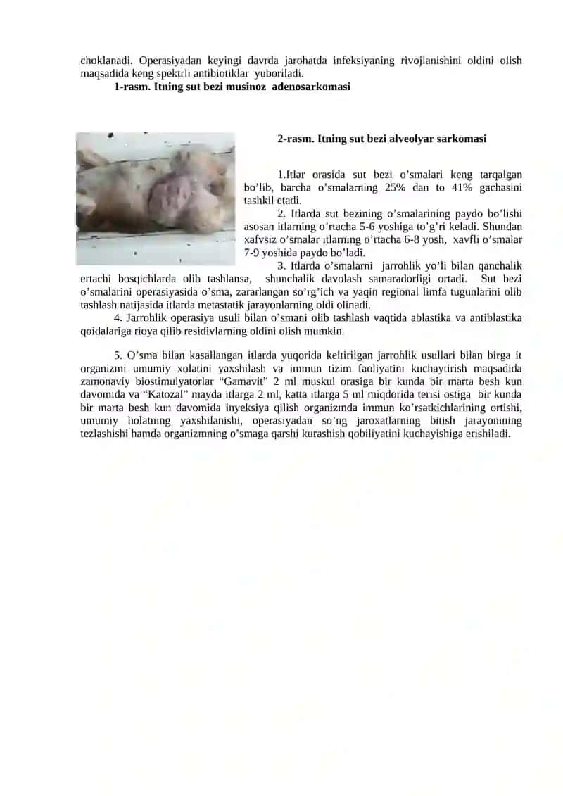 ITLARDA O’SMALARNI JARROHLIK USULIDA OLIB TASHLASH TEXNIKASI 2