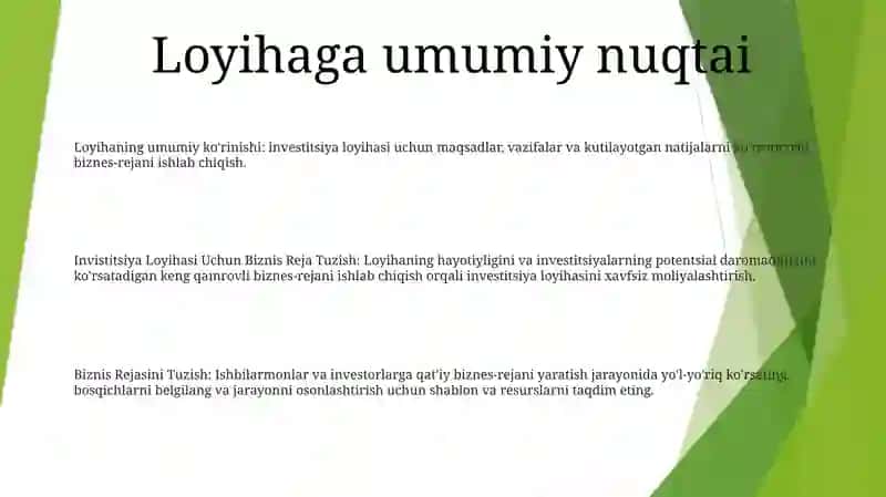 Invistitsiya Loyihasi Uchun Biznis Reja Tuzish 2