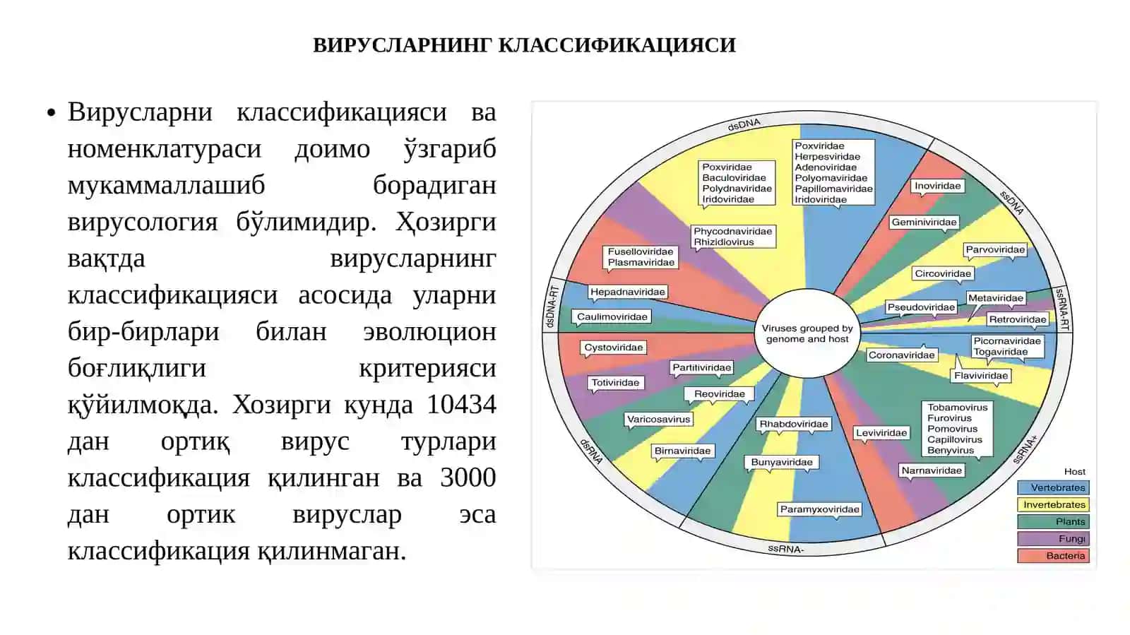 Вирусларни классификацияси 2