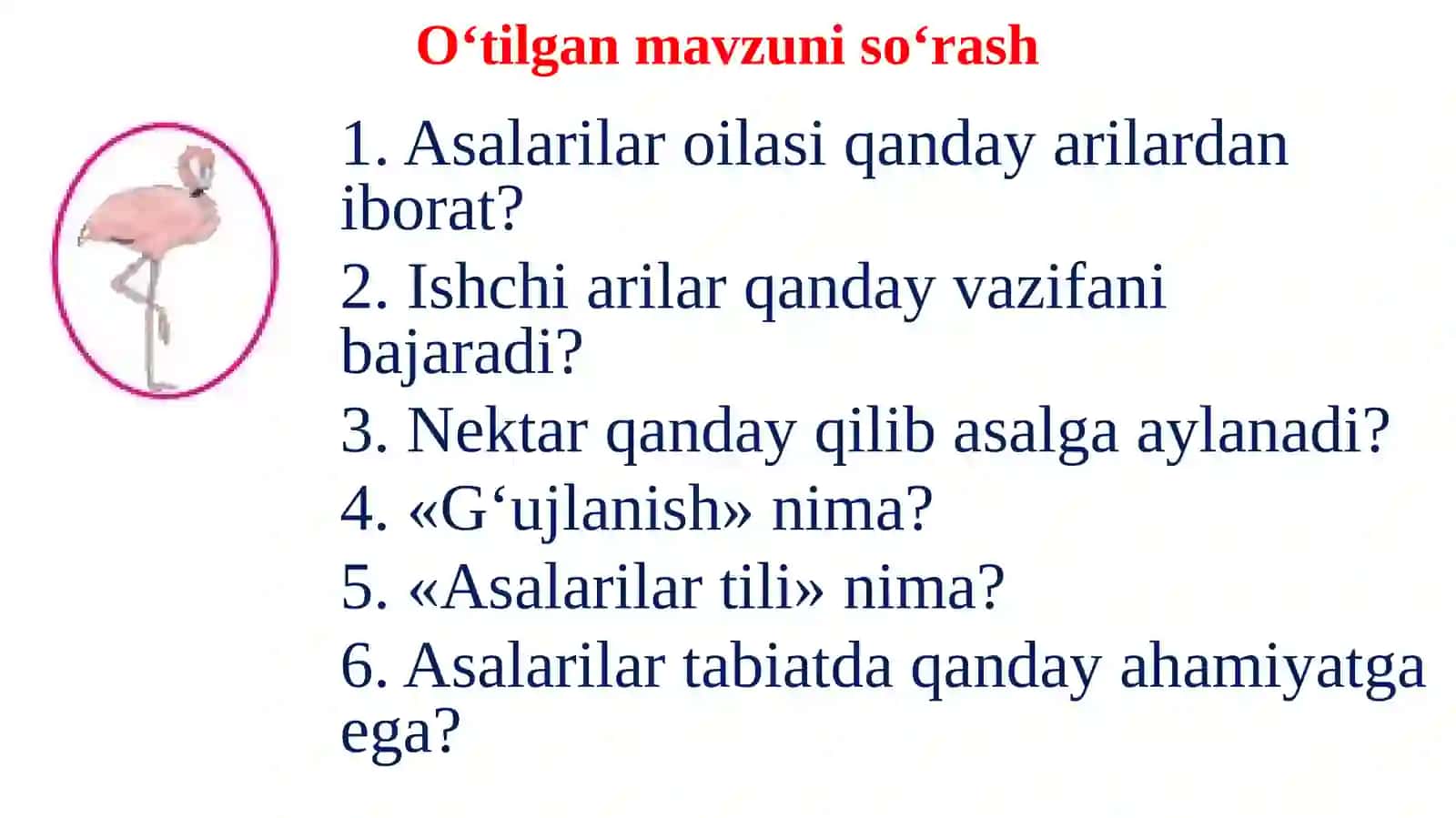 Ikkiqanotlilarturkumi 2