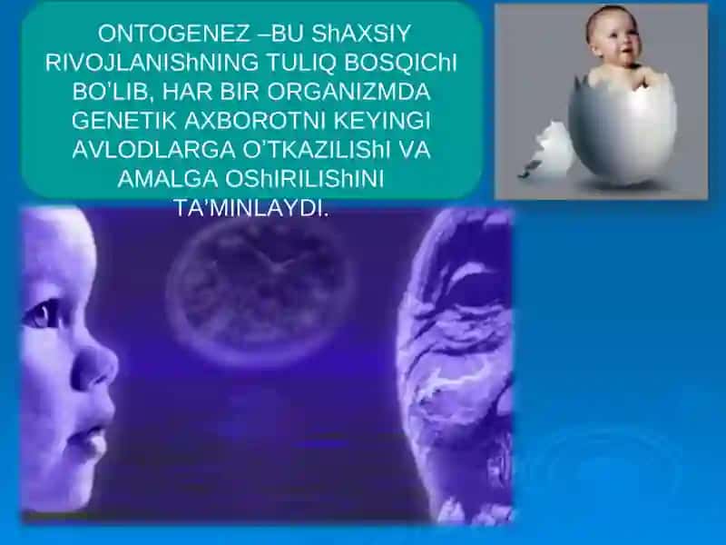 Individual rivojlanishning umumiy qonuniyatlari 2