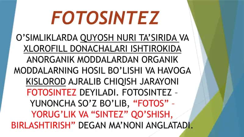 Fotosintez 2
