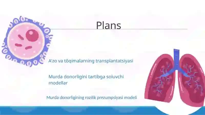 Murda donorligining rozilik prezumpsiyasi modeli 2
