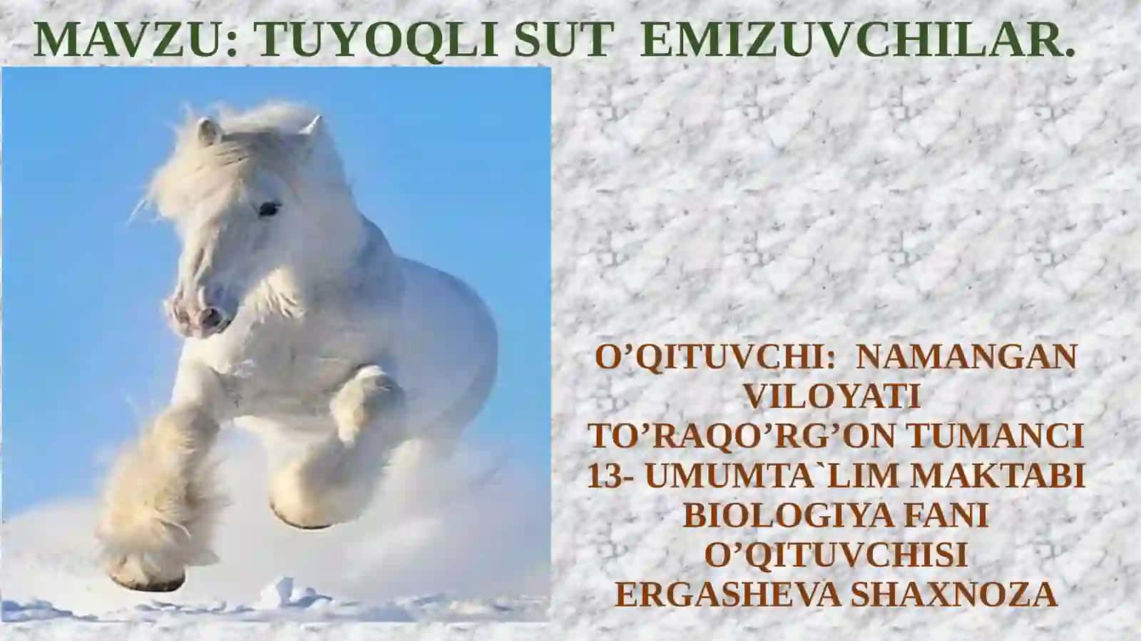 TUYOQLI SUT EMIZUVCHILAR 2