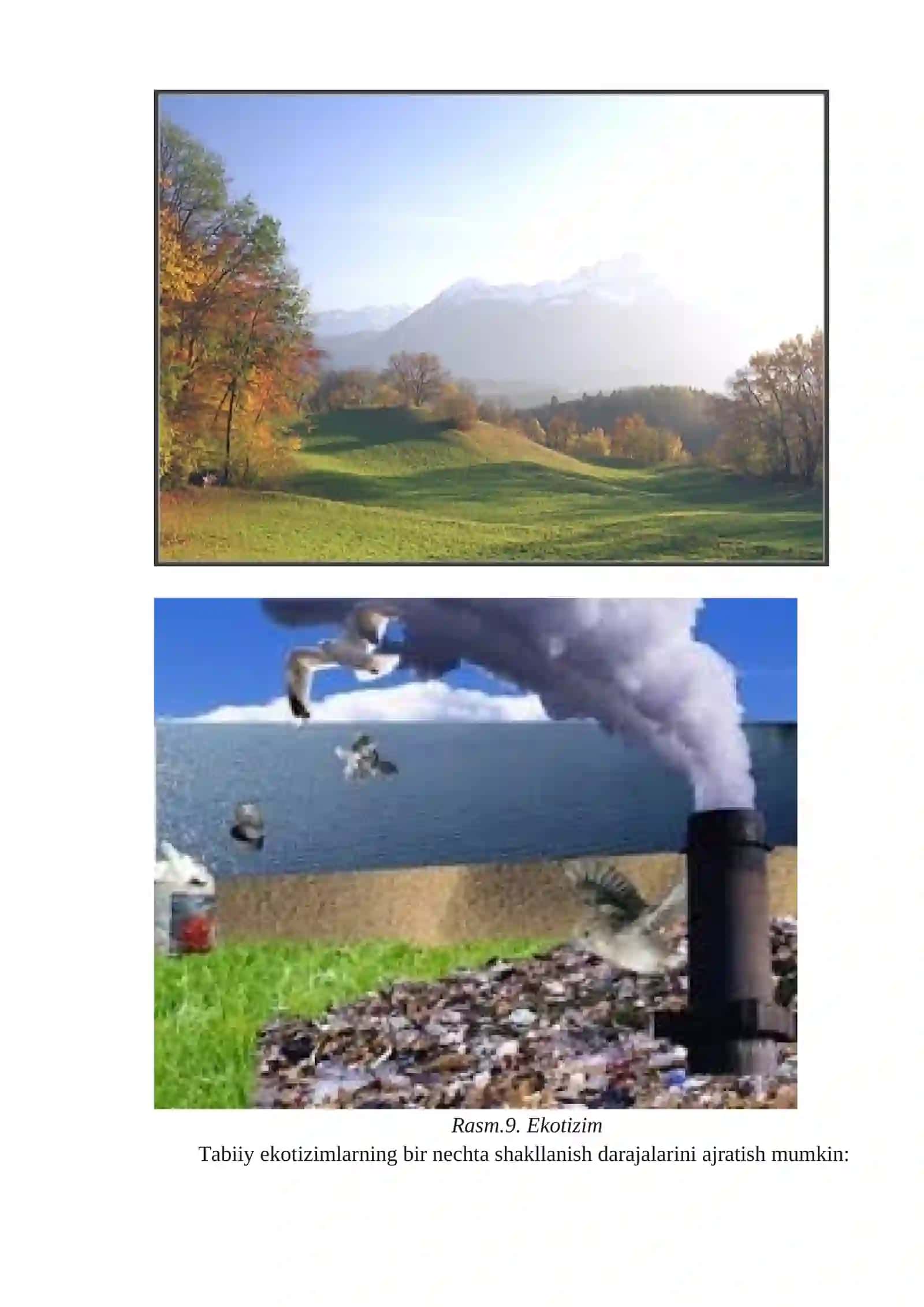 Ekologik tizimlar 2