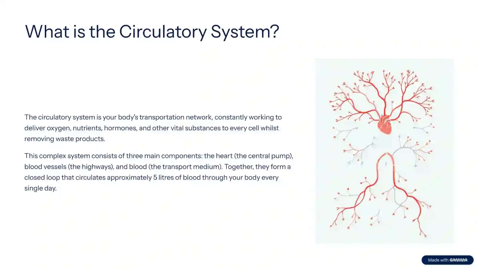 The Journey of Life: Understanding the Human Circulatory System 2