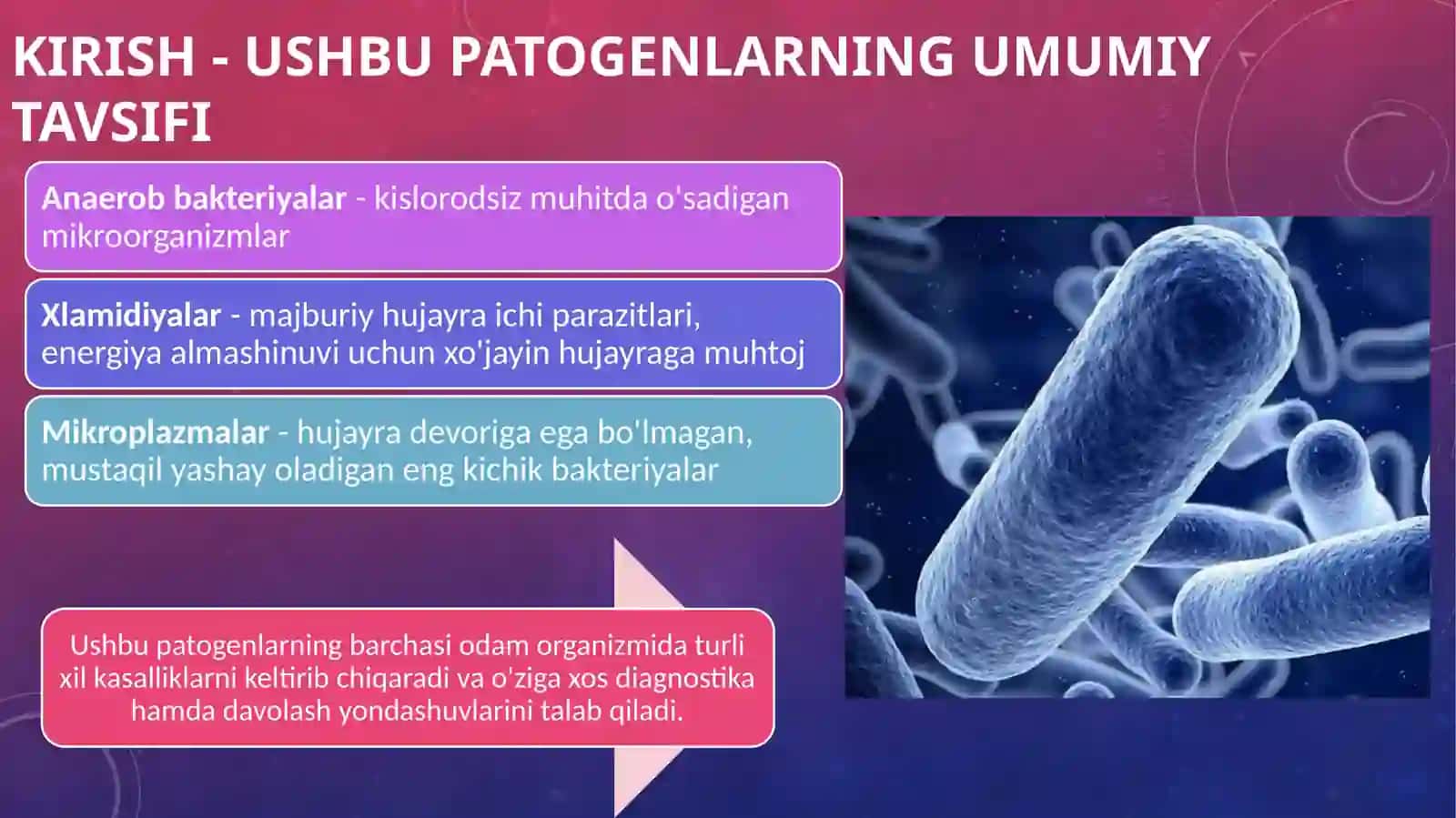 Patogen Anaeroblar, Xlamidiyalar va Mikroplazmalar 2