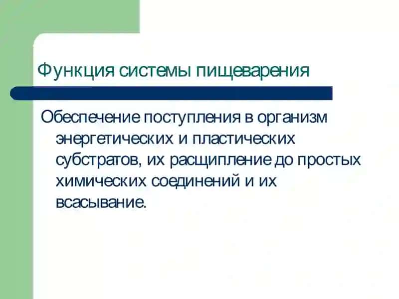 Патофизиология системы пищеварения 2