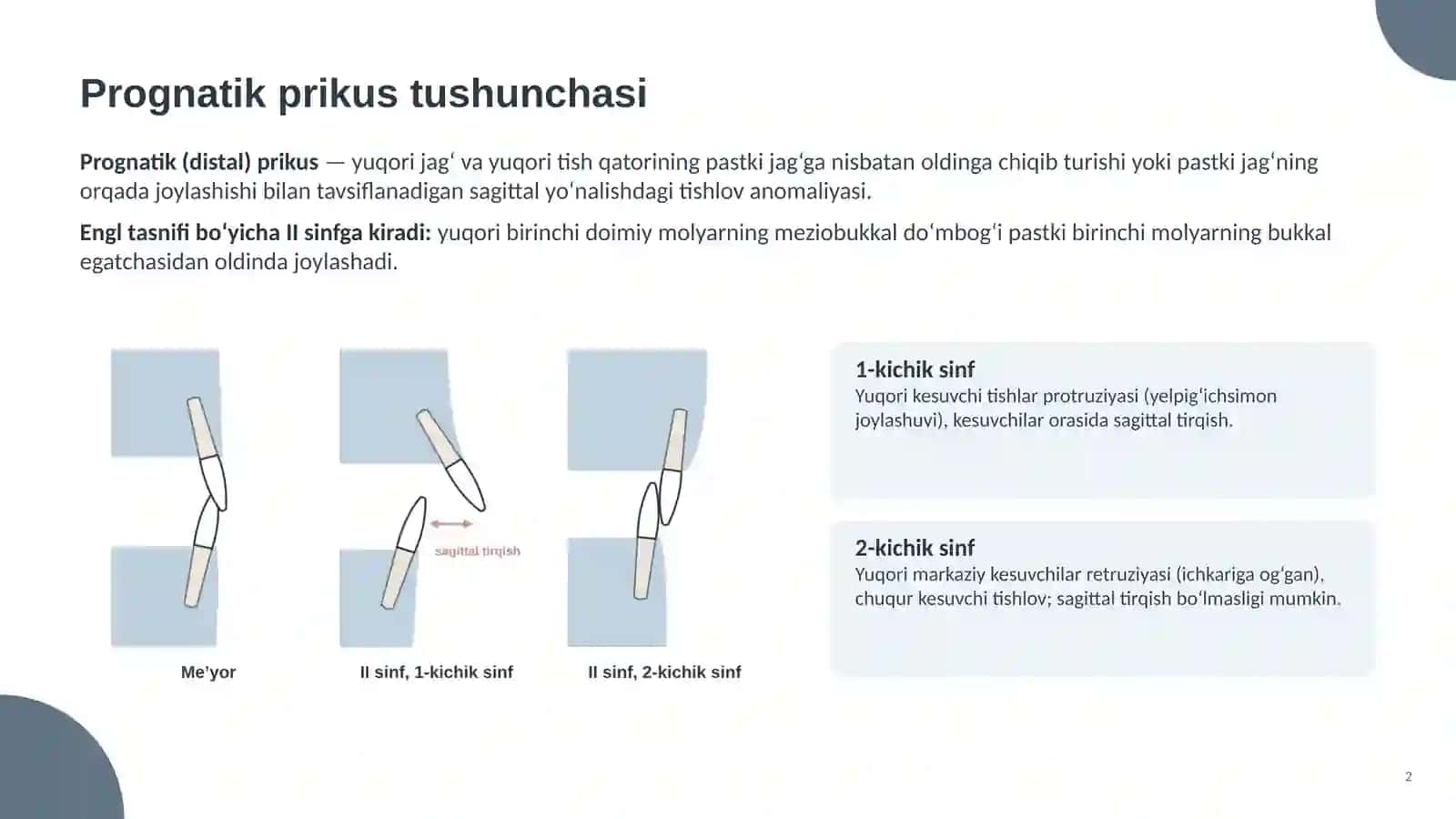 Prognatik prikus 2