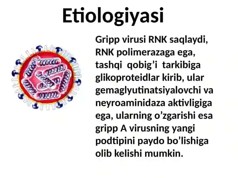 Gripp O'RVI 2