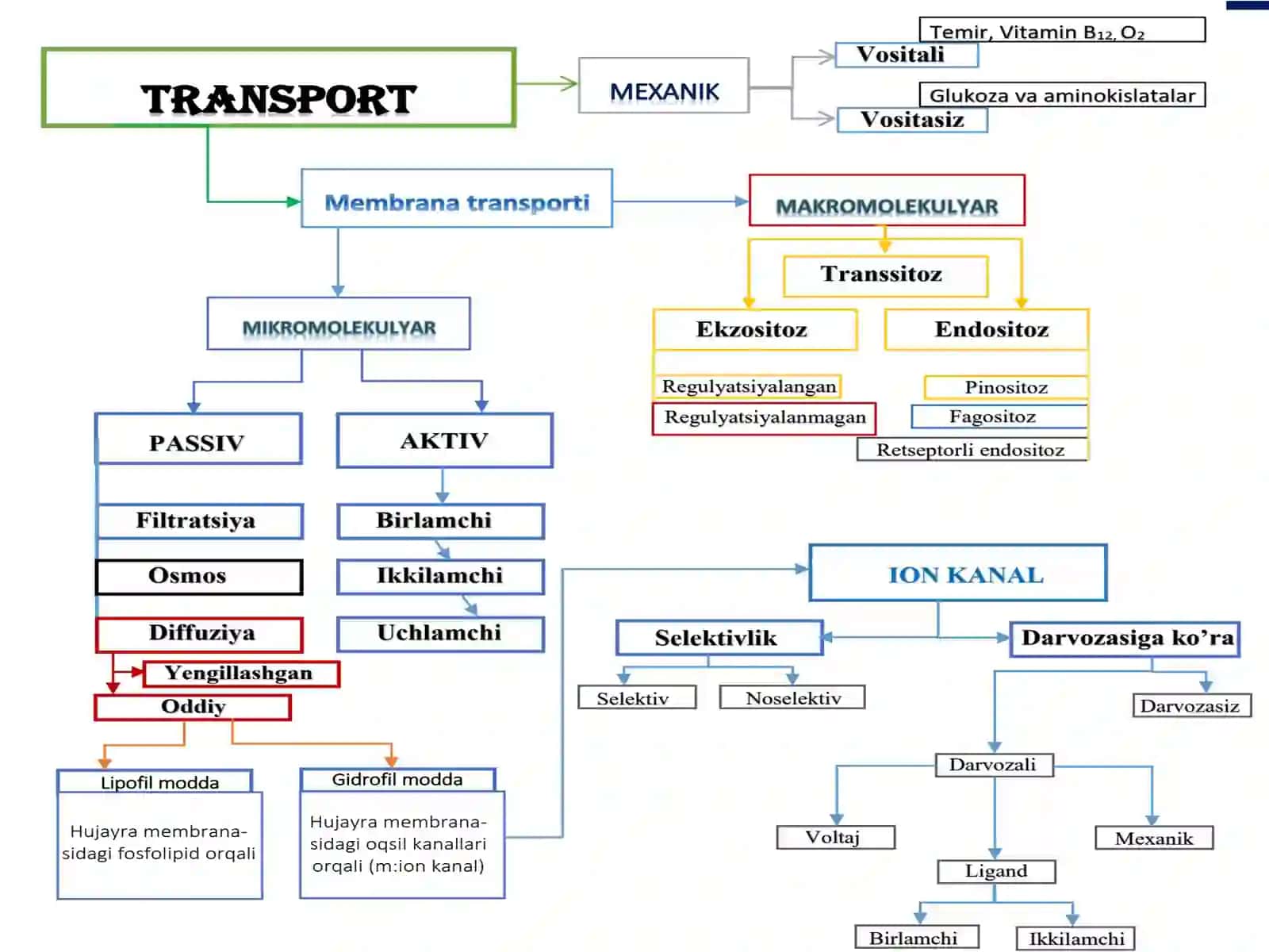 Passivtransport 2