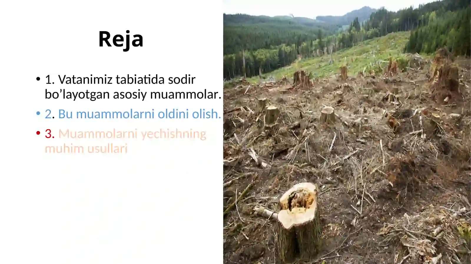 Ekologik muammolar va ularning yechimi 2