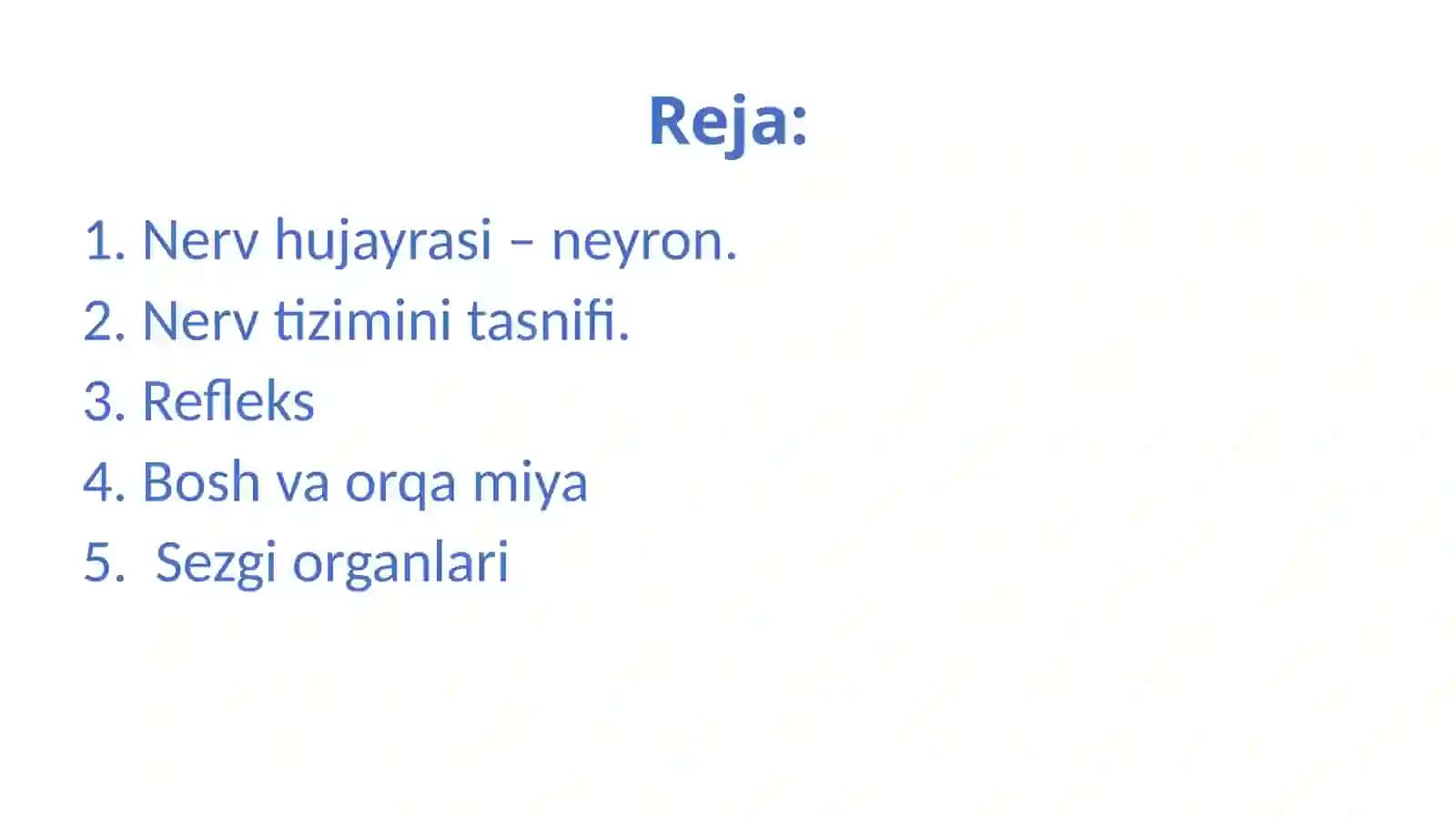 Nerv tizimini va Sezgi organlari 2