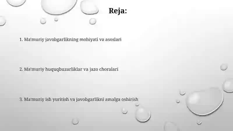 Ma'muriy javobgarlik 2