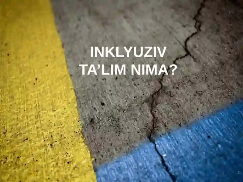 INKLYUZIV TA'LIMNING ZAMONAVIY TENDENSIYALARI 2