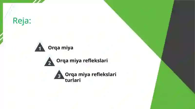 Orqa miya reflekslarini o'rganish 2