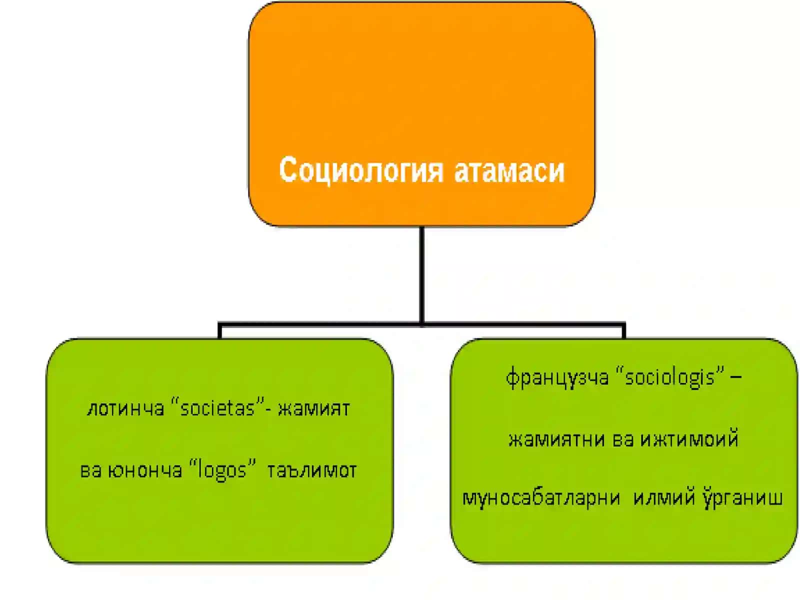 Социология фансифатида 2
