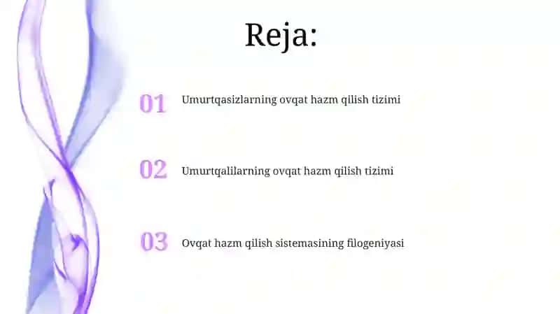 Ovqat hazm qilish tizimi 2