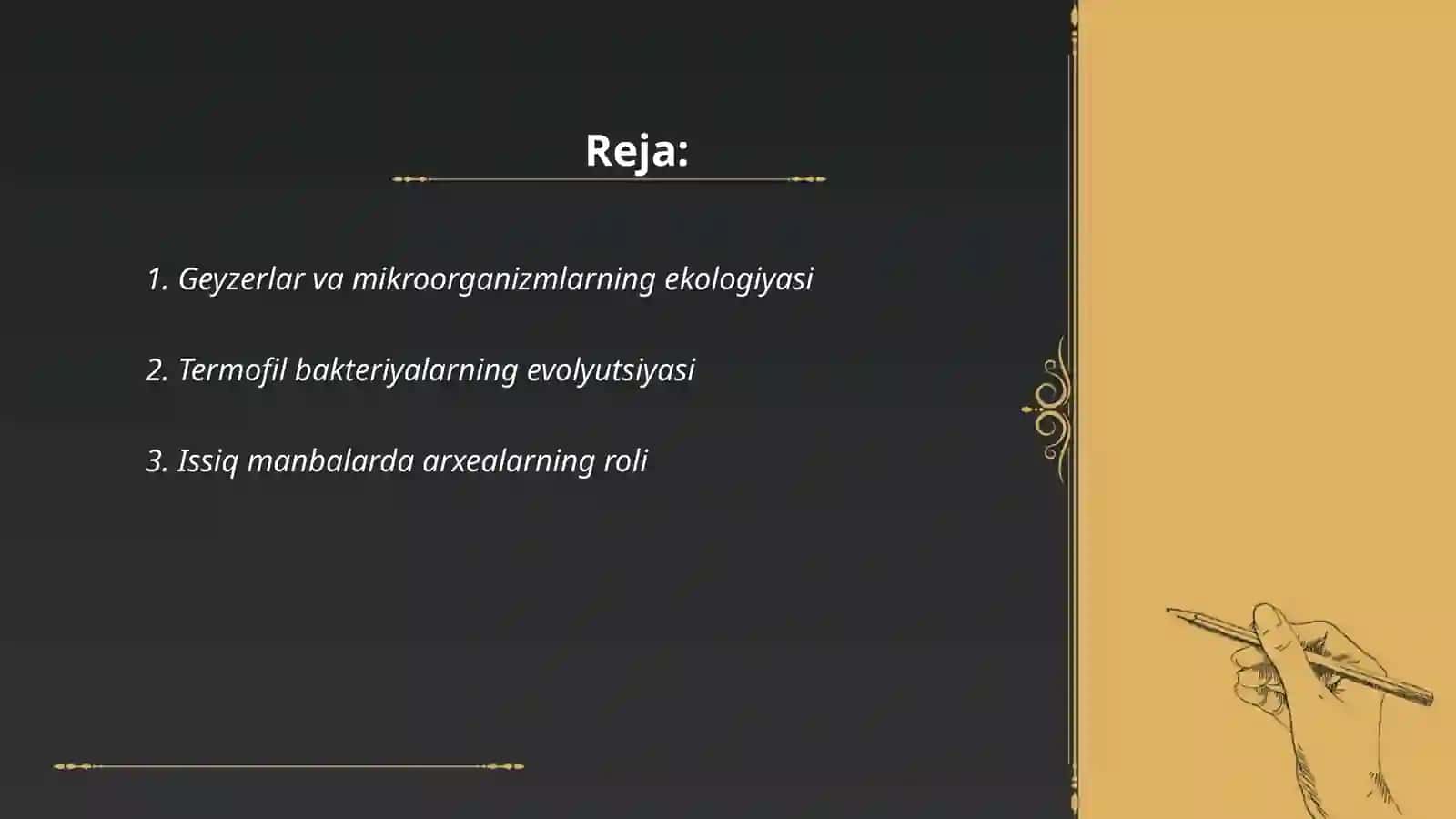 Geyzerlar va mikroorganizmlar 2