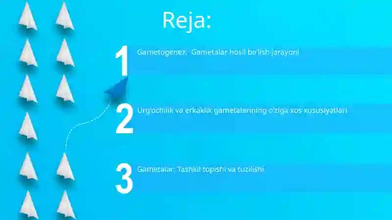 Jinsiy hujayralar (gametalar) 2