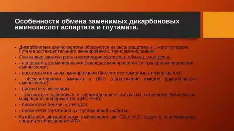 Обмен отдельных аминокислот 2