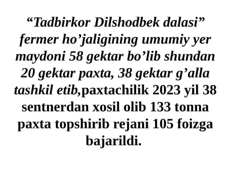 Tadbirkor Dilshodbekdalasi 2