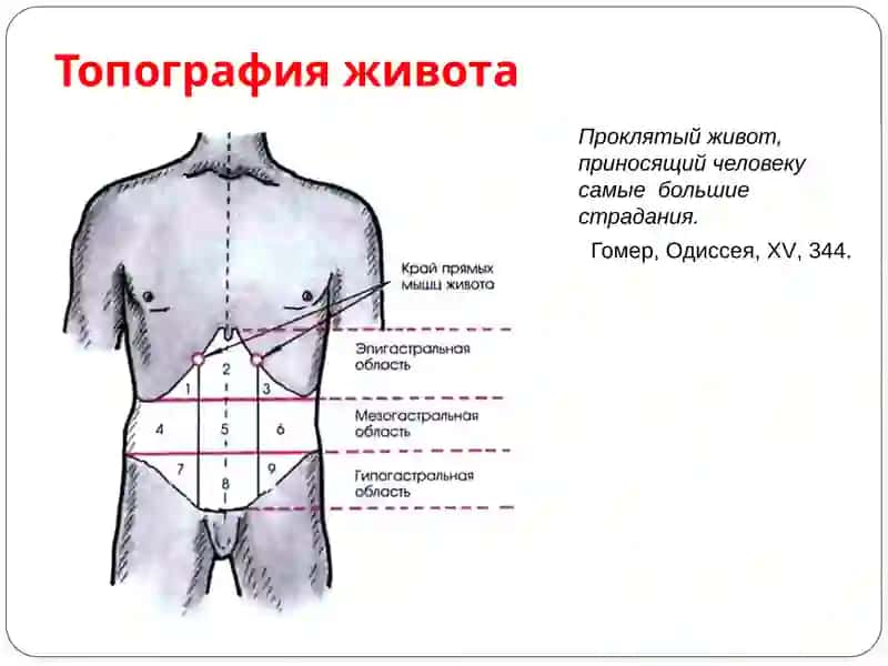 Расспрос больного о заболеваниях кишечника 2