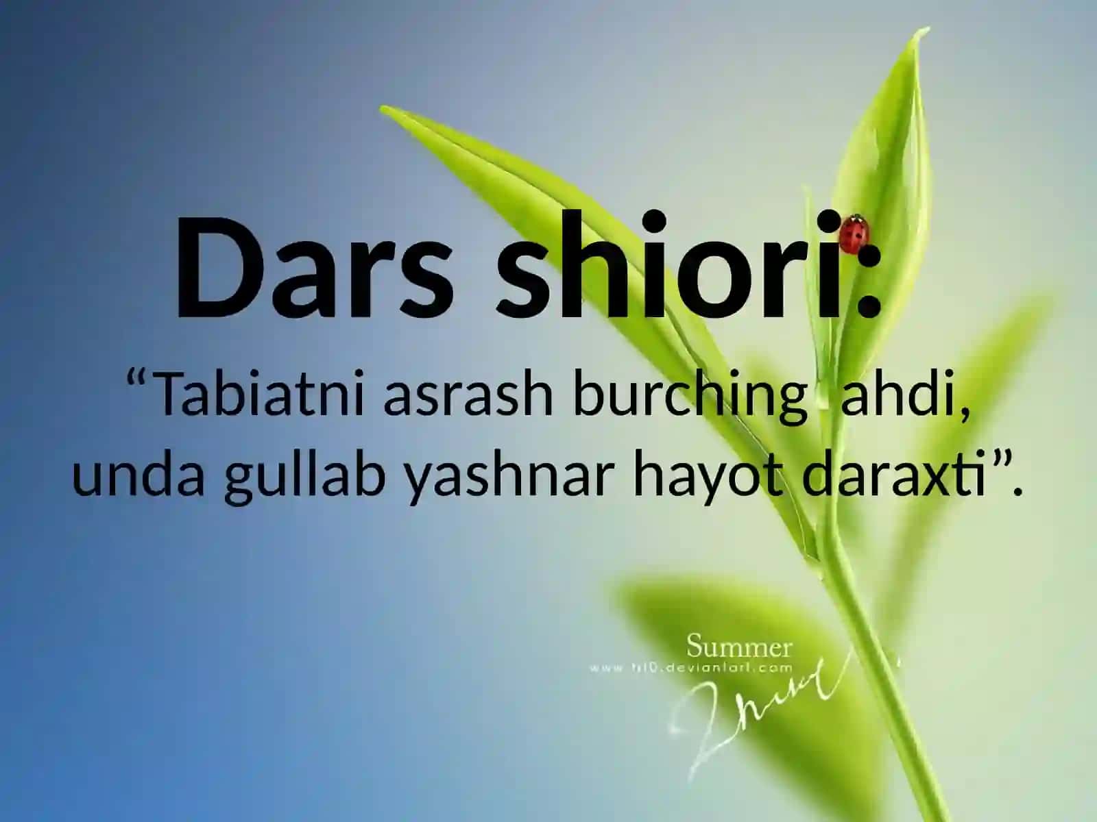 GULLI 0`SIMLIKLAR BILAN UMUMIY TANISHISH 2
