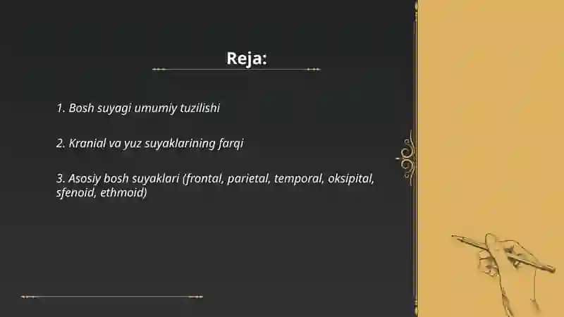 Bosh suyagi umumiy malumot 2