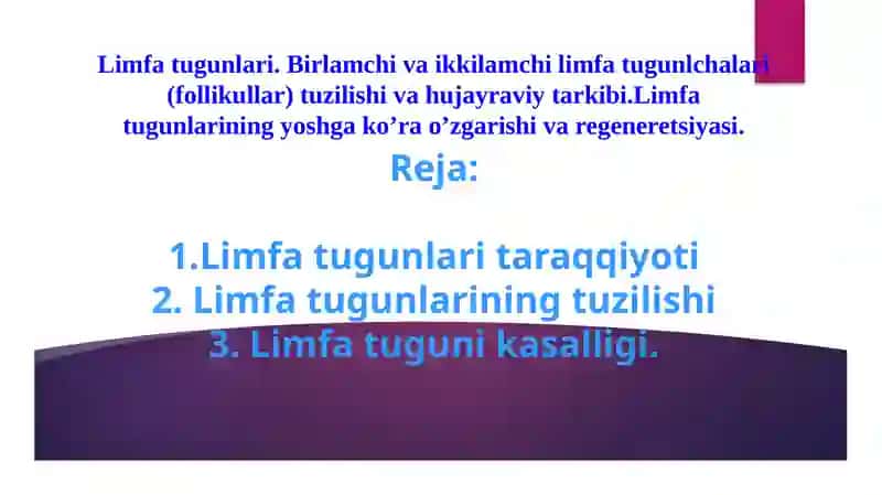 Limfa tugunlari 2