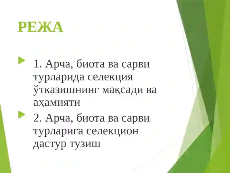 Сарвдошлар оиласи турларининг селекцияси 2