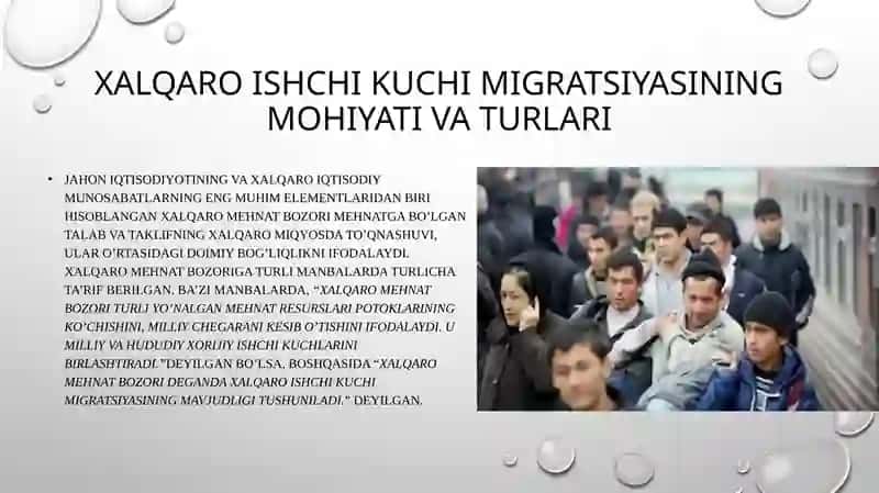 Xalqaro mehnat bozori 2