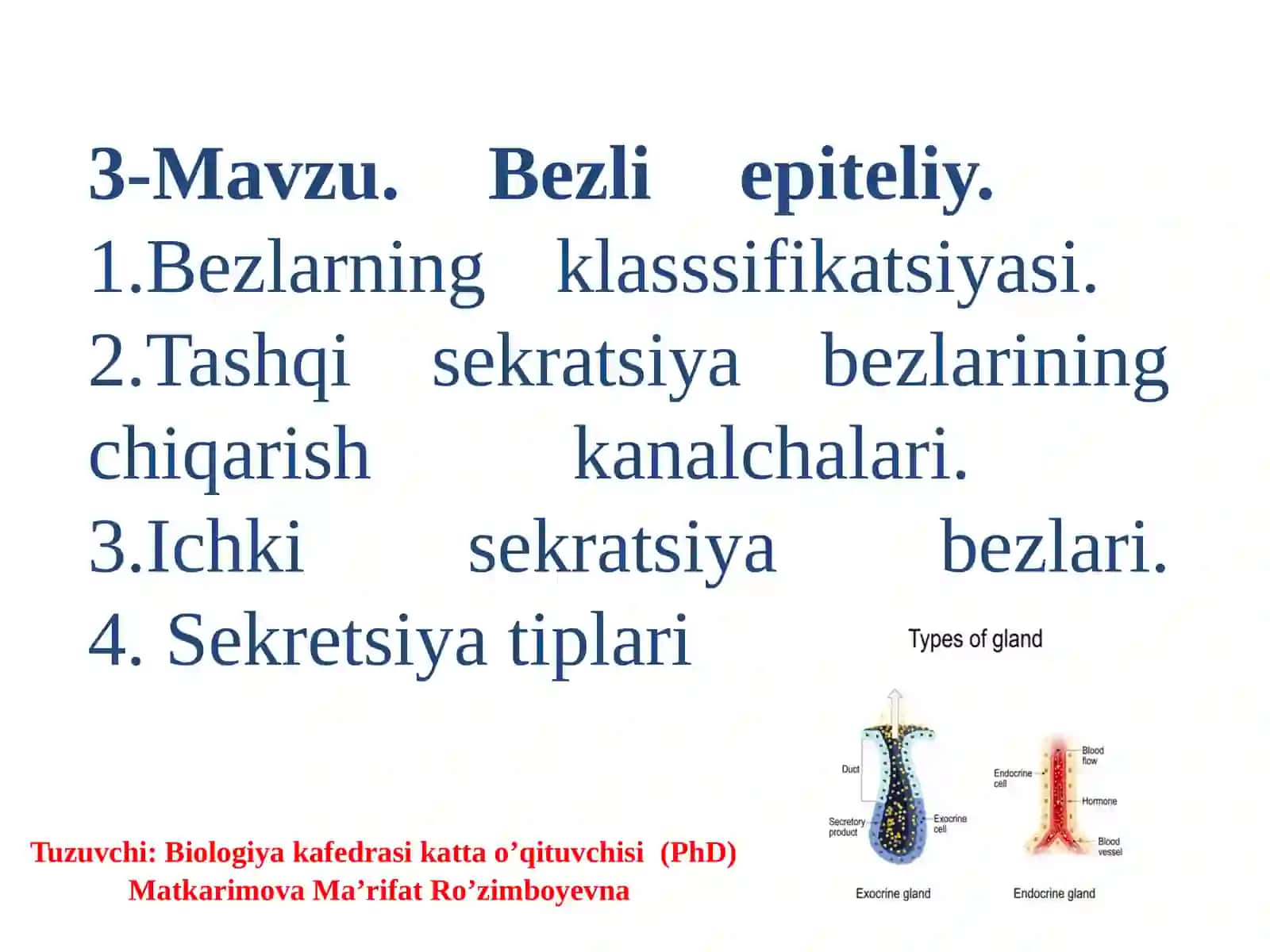 Bezli epiteliy 2