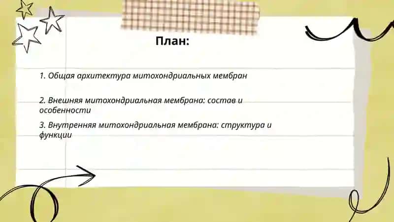 Строение мембран митохондрии 2