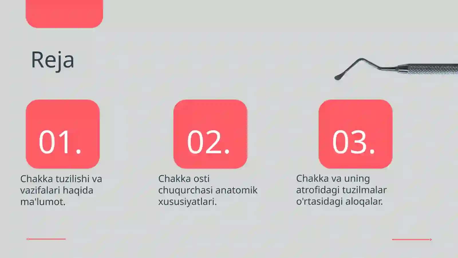 Unumiy kalla suyagi anatomiyasi 2