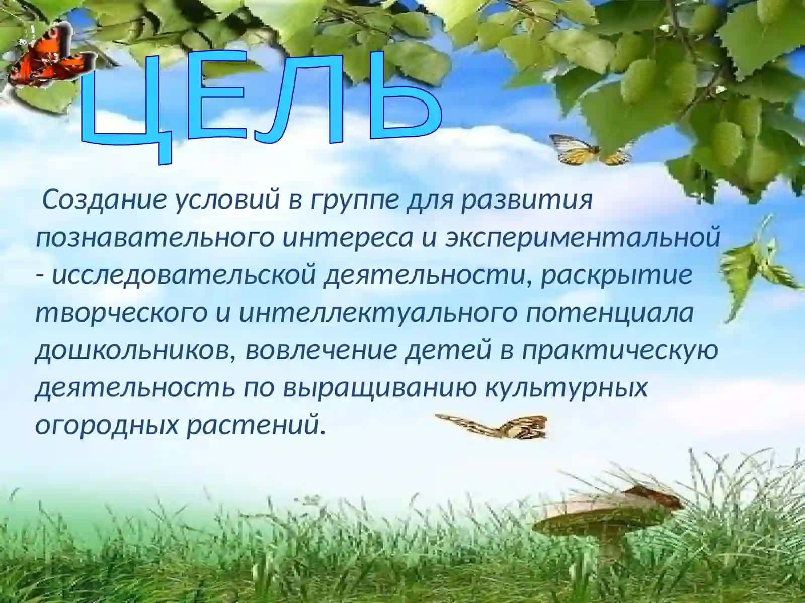 «Растительный мир вокруг нас» 2