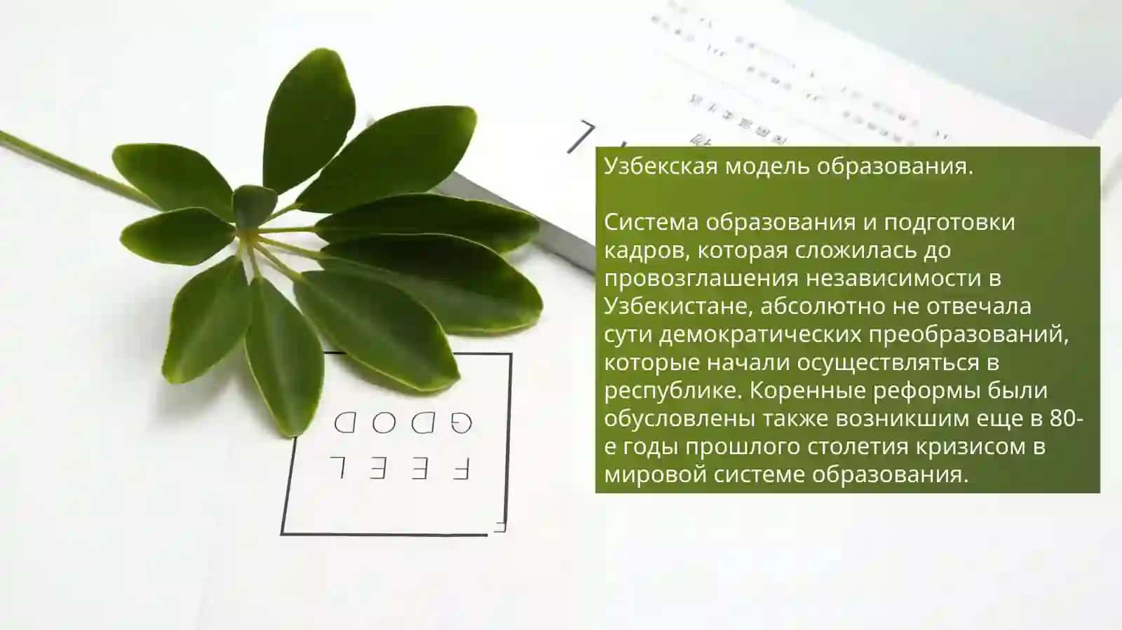 Образование в Узбекистане 2