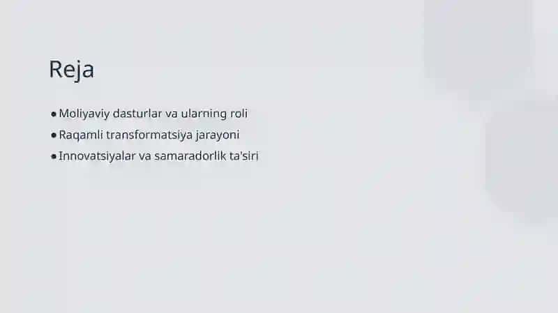Moliyaviy dasturlar va ularning roli 2