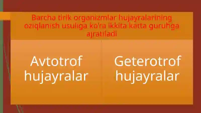 Hujayraning oziqlanishi 2