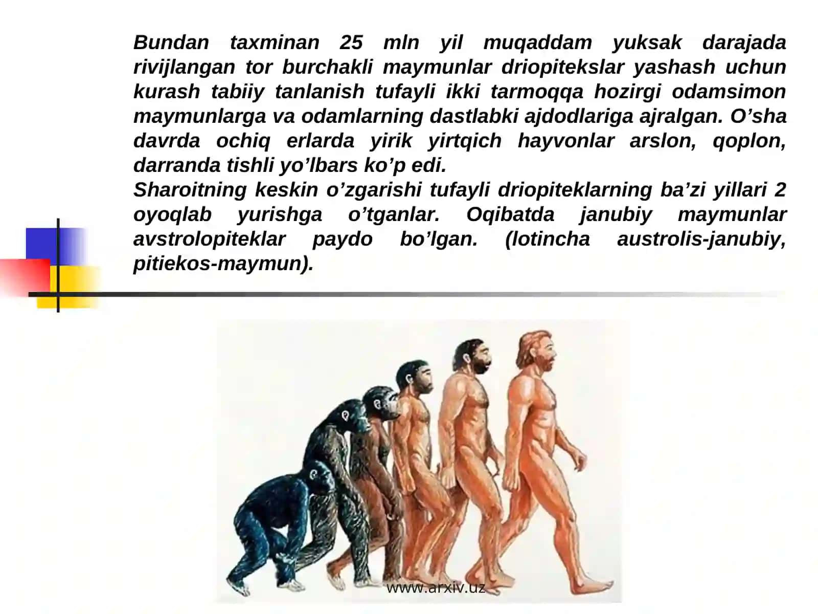 Geologik qobiqda odam va irqlar 2
