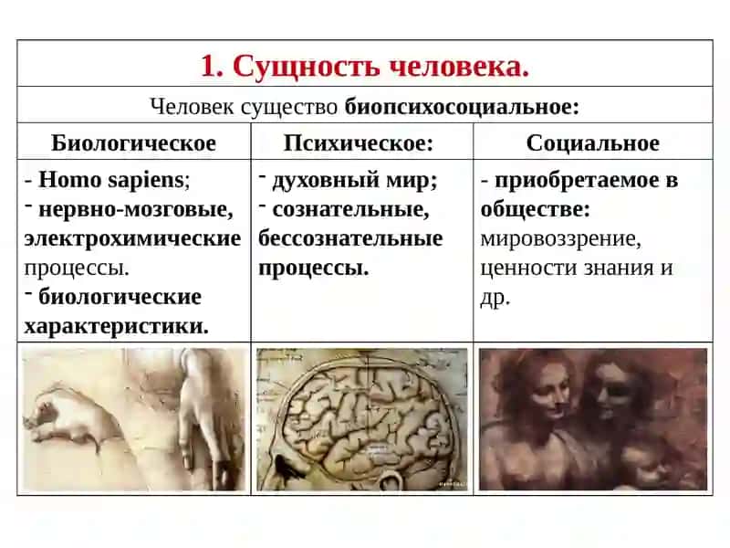 Древнейшая стадия истории человечества 2