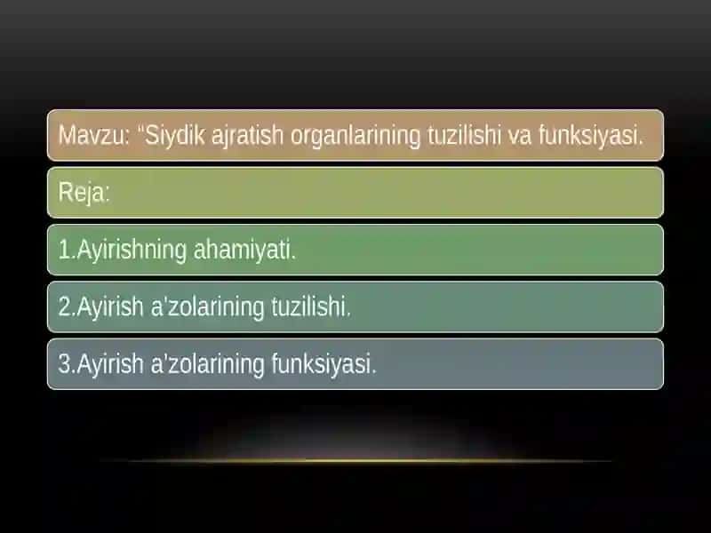 "Siydik Ajratish Organlarining Tuzilishi" 2