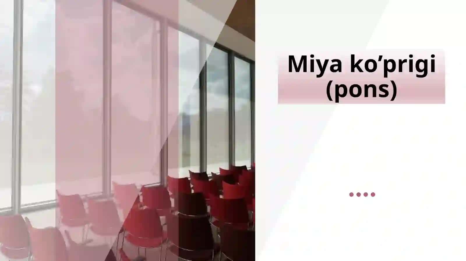 Miyako’prigi(pons) 2