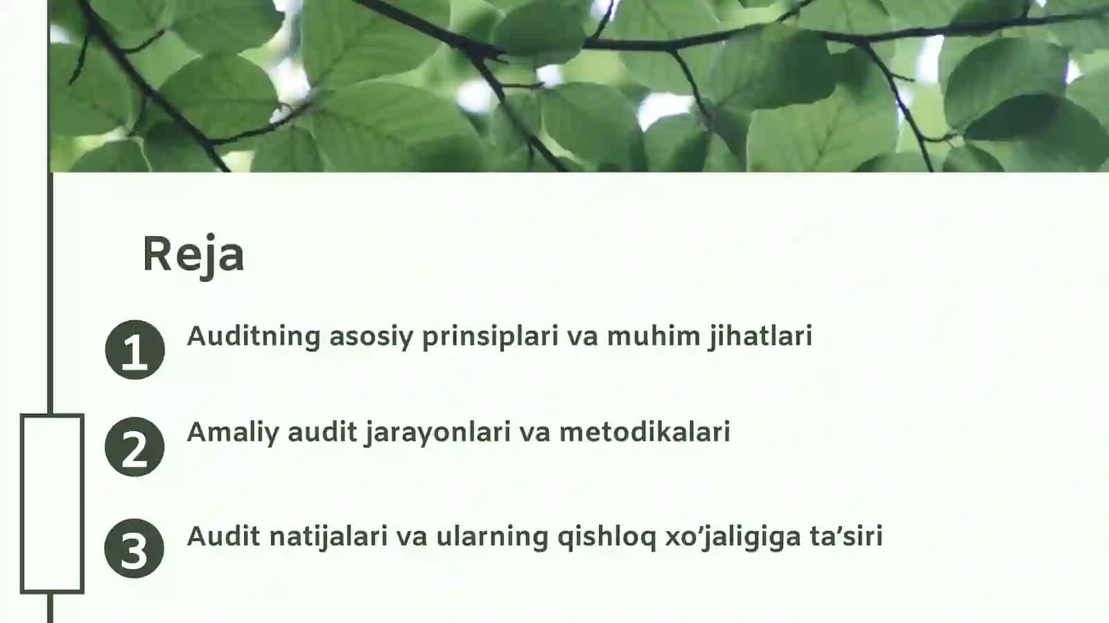 Qishloq xo’jaligi korxonalarida audit 2