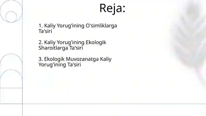 Kaliy Yorug'ining Ekologik Ta'siri 2