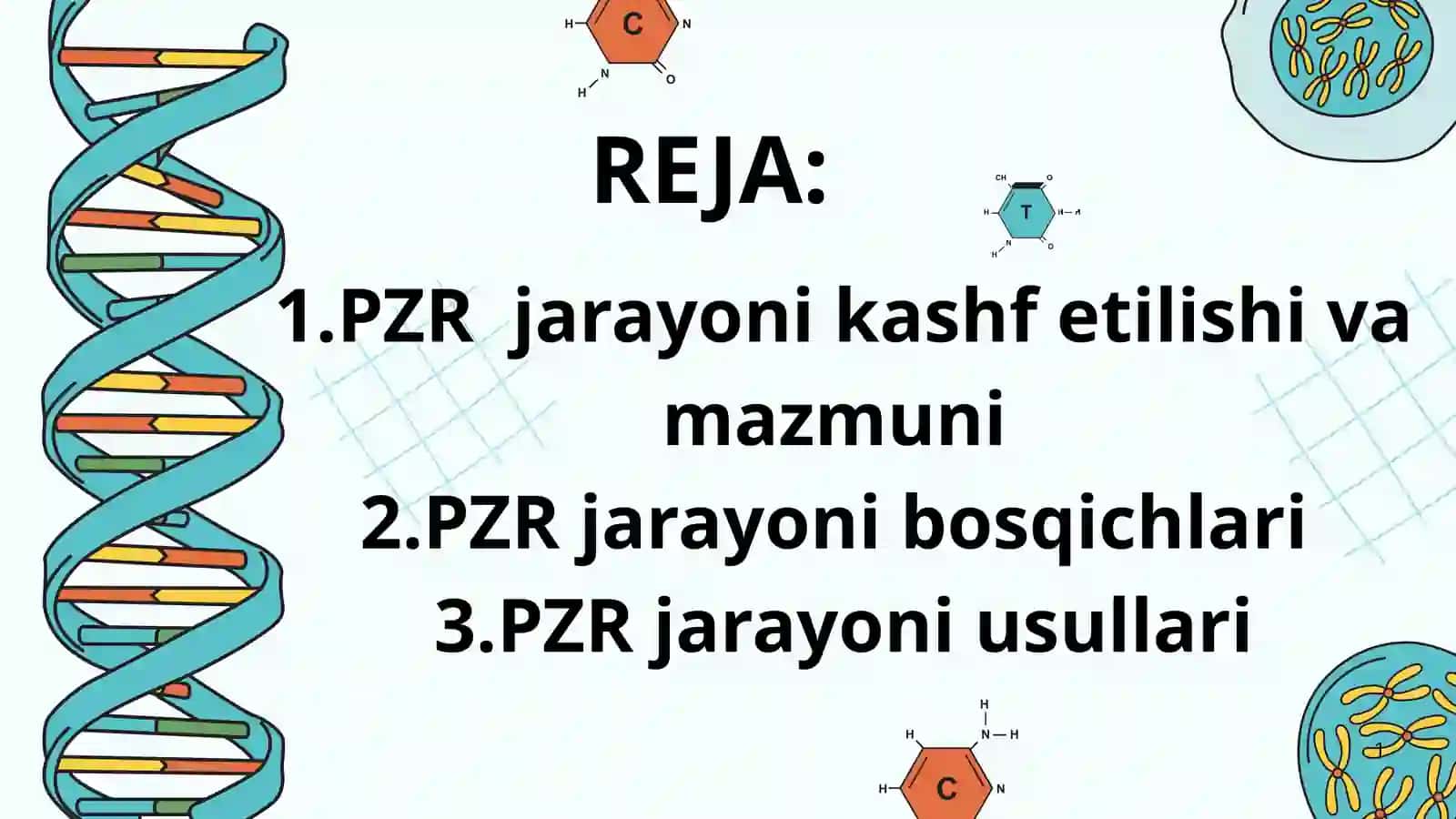 PZR jarayoni bosqichlari va usullari 2